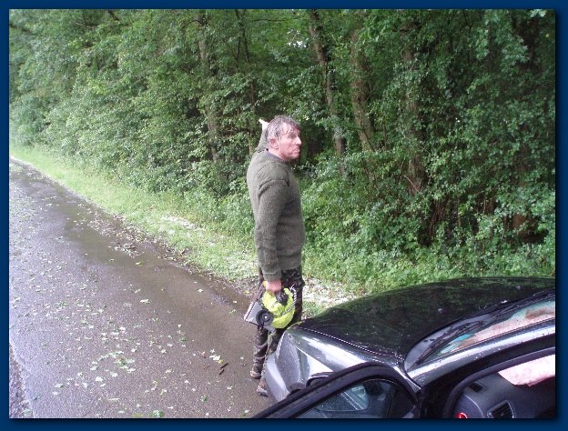 600x449 pixels (195K)